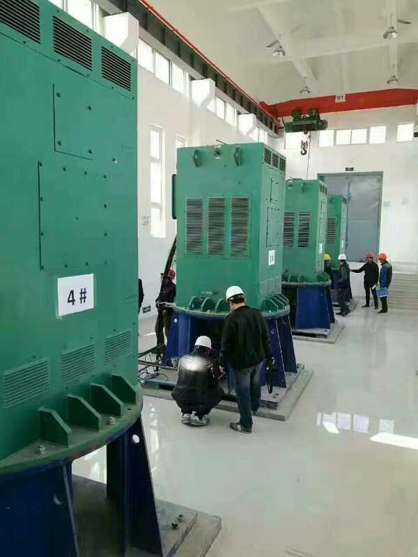 龙川某污水处理厂使用我厂的立式高压电机安装现场