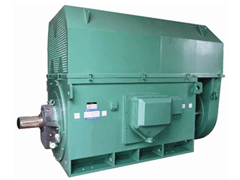 龙川Y系列6KV高压电机